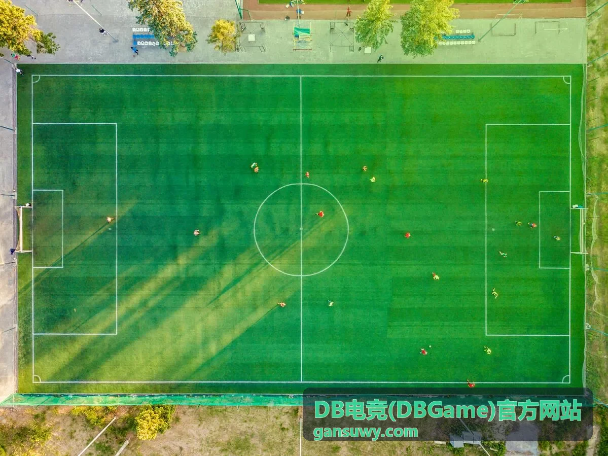 DB电竞直播 - Dota2国际邀请赛